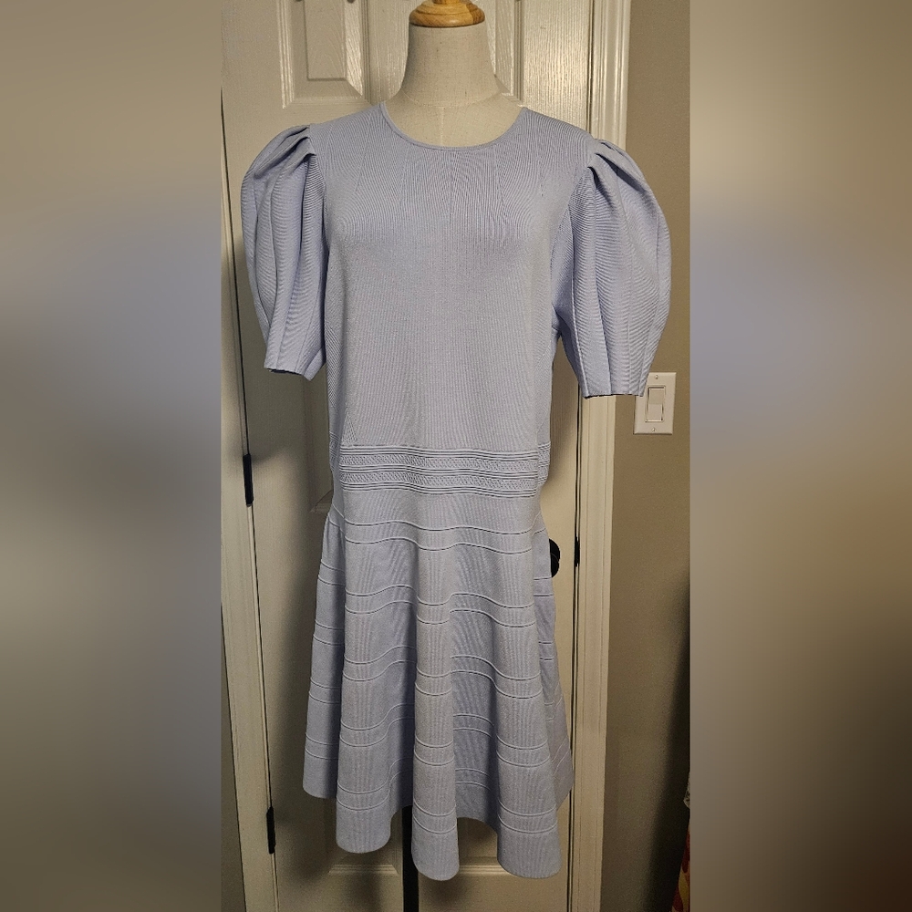 NWT Ted Baker Velvey Puff Sleeve Knit Dress: Lt Blue: Size 6 (US 12-14) - Picture 2 of 12